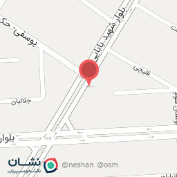 عکس پیتزا پل