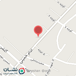 عکس برق خودرو سید