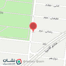 عکس تنظیم موتور پارس 