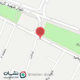 عکس سالی برگر