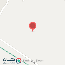 عکس رنگین پر مرغ مرندی و قرقاول