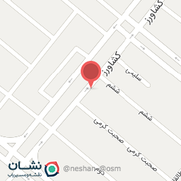 عکس کیف و کفش ویزلند 