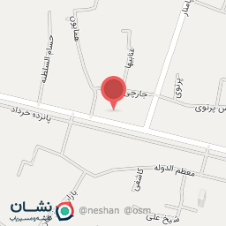 عکس برگر زغالی