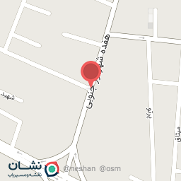 عکس برگر جان