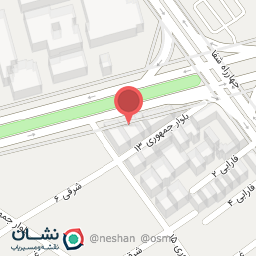 عکس پیتزا تورینو