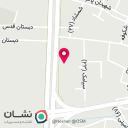 عکس ارزیابی خسارت بیمه ایرانیان پوشش