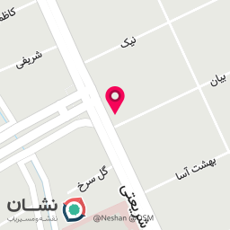 عکس جوجه کبابی نکیسا 