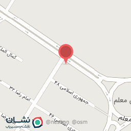 عکس گل فروشی گل گندم