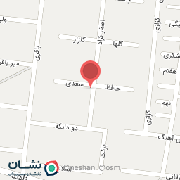 عکس سوپر مارکت ولیعصر