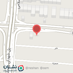 عکس فروشگاه ناصر