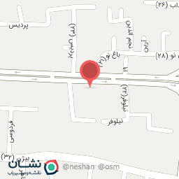 عکس دکتر آسیه محمدزاده (متخصص تغذیه)