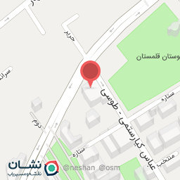 عکس دکتر فیروزه رئیسیان