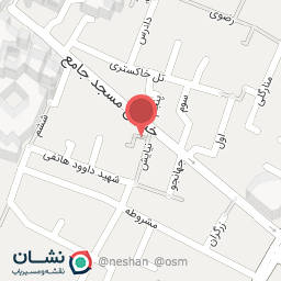 عکس فروشگاه فرش پازیریک