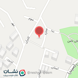 عکس پیتزا پیشی