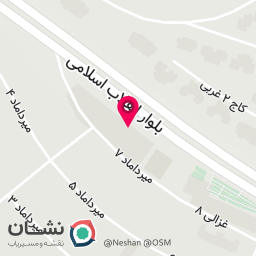 عکس کیف و کفش دختر ایرونی 