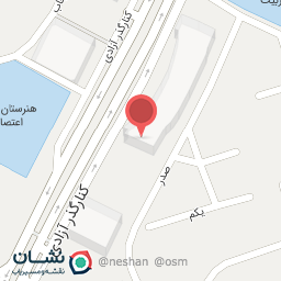 عکس کفش چمتاک