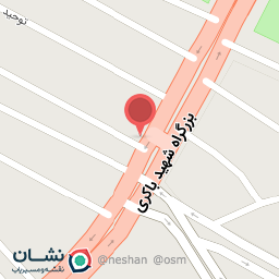 عکس تک تایر آذر