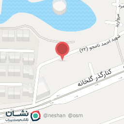 عکس دکتر افسانه آقائی