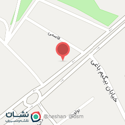 عکس تولیدی میوه خشک حسینی