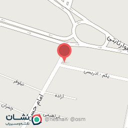 عکس الکتریکی شایان