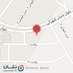 عکس اگزوز سازی