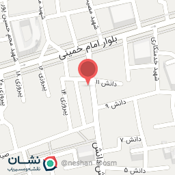 عکس پیتزا دایان