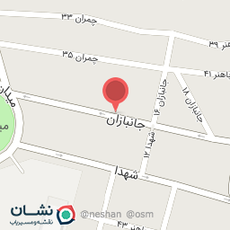 عکس قالیشویی نگین 