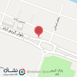 عکس کفش نادر