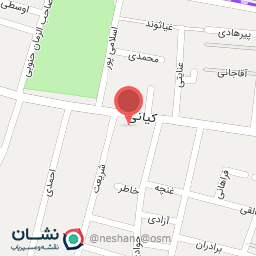 عکس الکتریکی علایی