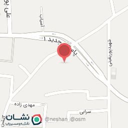 عکس دکتر نیر هدائی-زنان