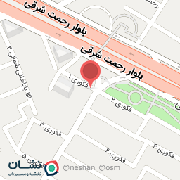 عکس فست فود امیر