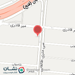 عکس دکتر چینی مهرآباد - اتو سرویس حسین