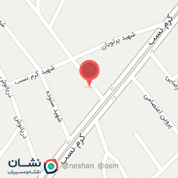 عکس پوشاک شادزی