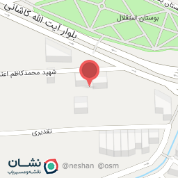 عکس کیف و کفش زنانه کیارش