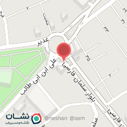 عکس پیتزا سلطانی