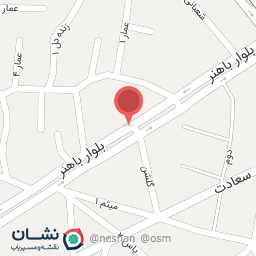 عکس پاچینی لند مرغ بریان