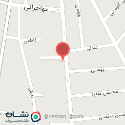 عکس فروشگاه اسب آهنی