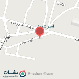 عکس کبابی میثم