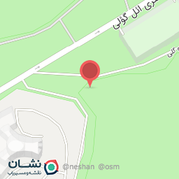 عکس کافه سنتی پارک همبرگر
