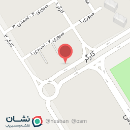 عکس پیتزا کاج