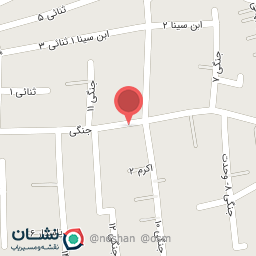 عکس پیتزا موران