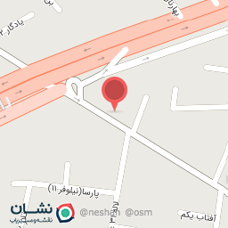 عکس فست‌فود ویشکا