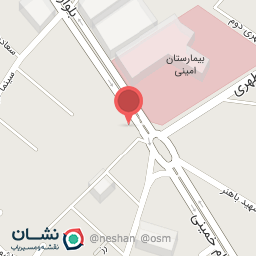 عکس پیتزاسون