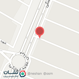 عکس مرغ ماهی محمد