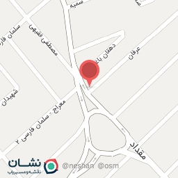 عکس مرغ بریان هلسی