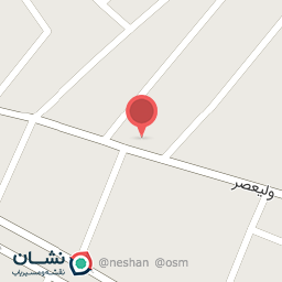 عکس پیتزا و ساندویچ پارازیت (نجاتی)