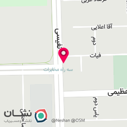 عکس میکرو تخصصی صورت هدا ایزدی