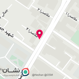 عکس دکتر سولماز نتنج متخصص و جراح زنان زایمان