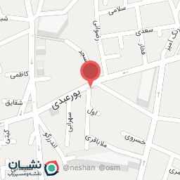 عکس کفش دیانا