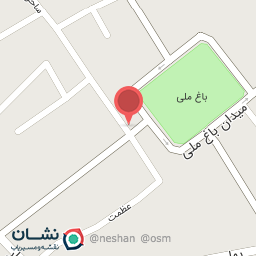 عکس کیف و کفش تورک